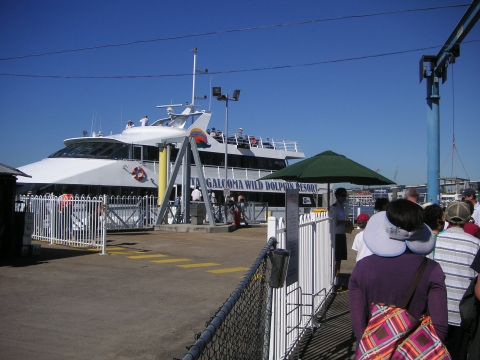 s_A_PICT0557.jpg